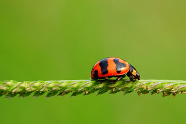 Similar image 8453648