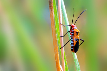 Similar image 8453649