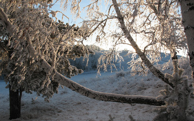 Similar image 8453650