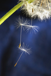 Similar image 8453656