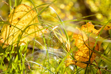 Similar image 8453725