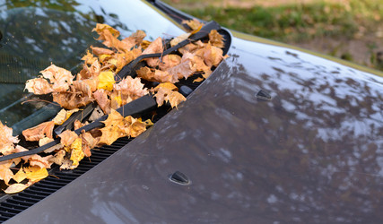 Similar image 8453729