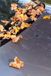 Similar image 8453730