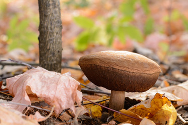 Similar image 8453732