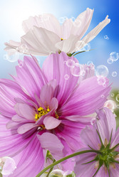 Similar image 8453786