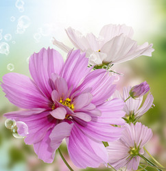 Similar image 8453789