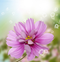 Similar image 8453790