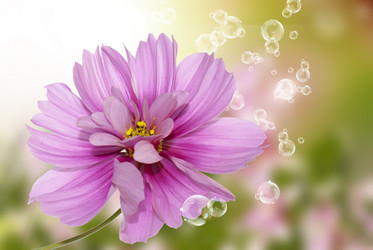 Similar image 8453791