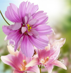 Similar image 8453792