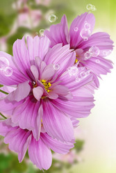 Similar image 8453794