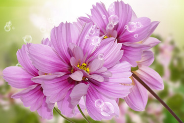 Similar image 8453795