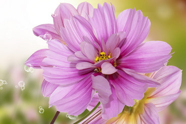 Similar image 8453797