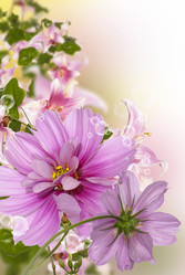 Similar image 8453798