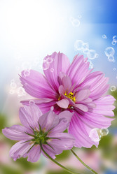 Similar image 8453799