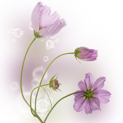 Similar image 8453801