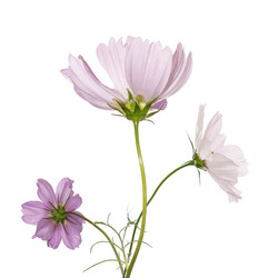 Similar image 8453802