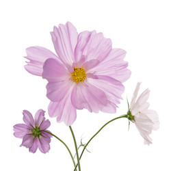 Similar image 8453804