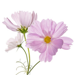 Similar image 8453806