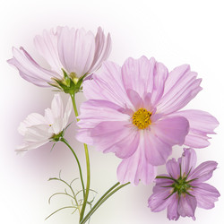 Similar image 8453807