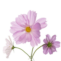 Similar image 8453808