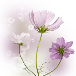 Similar image 8453810