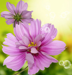 Similar image 8453811