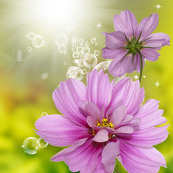 Similar image 8453812