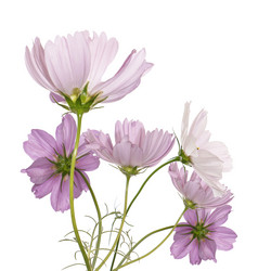 Similar image 8453813