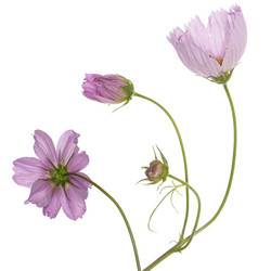 Similar image 8453815