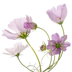 Similar image 8453816