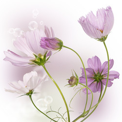 Similar image 8453817