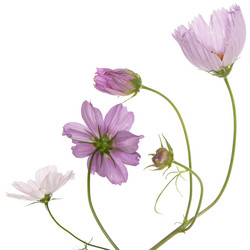 Similar image 8453818