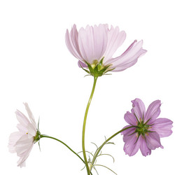 Similar image 8453819