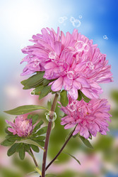 Similar image 8453820