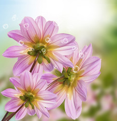 Similar image 8453822