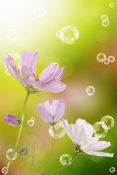 Similar image 8453829