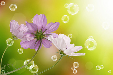 Similar image 8453830