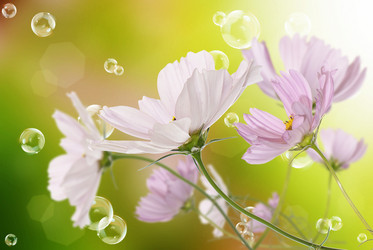 Similar image 8453831