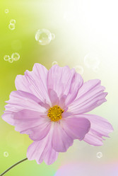 Similar image 8453834