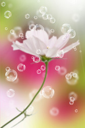 Similar image 8453836