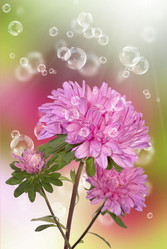 Similar image 8453837