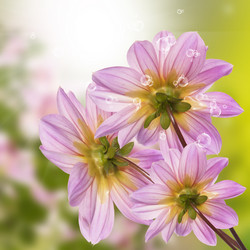 Similar image 8453840