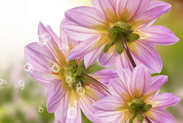 Similar image 8453841