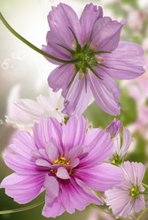 Similar image 8453842