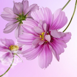 Similar image 8453843