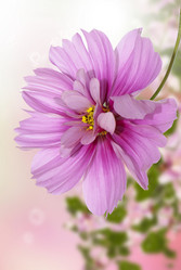 Similar image 8453844