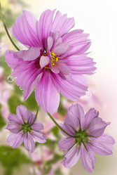 Similar image 8453846