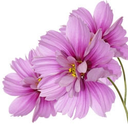 Similar image 8453850