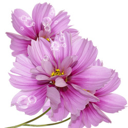 Similar image 8453851