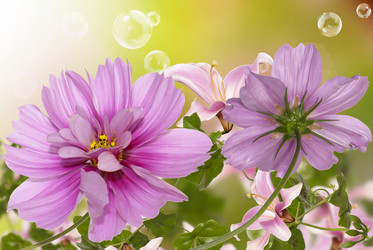 Similar image 8453852